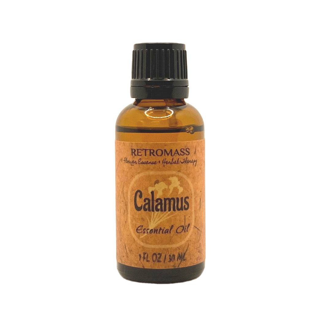 Calamus ätherisches Öl